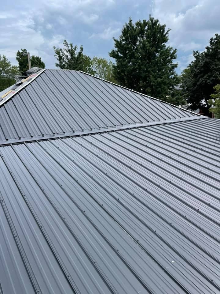 Un gros plan d'un toit en métal noir avec des arbres en arrière-plan.