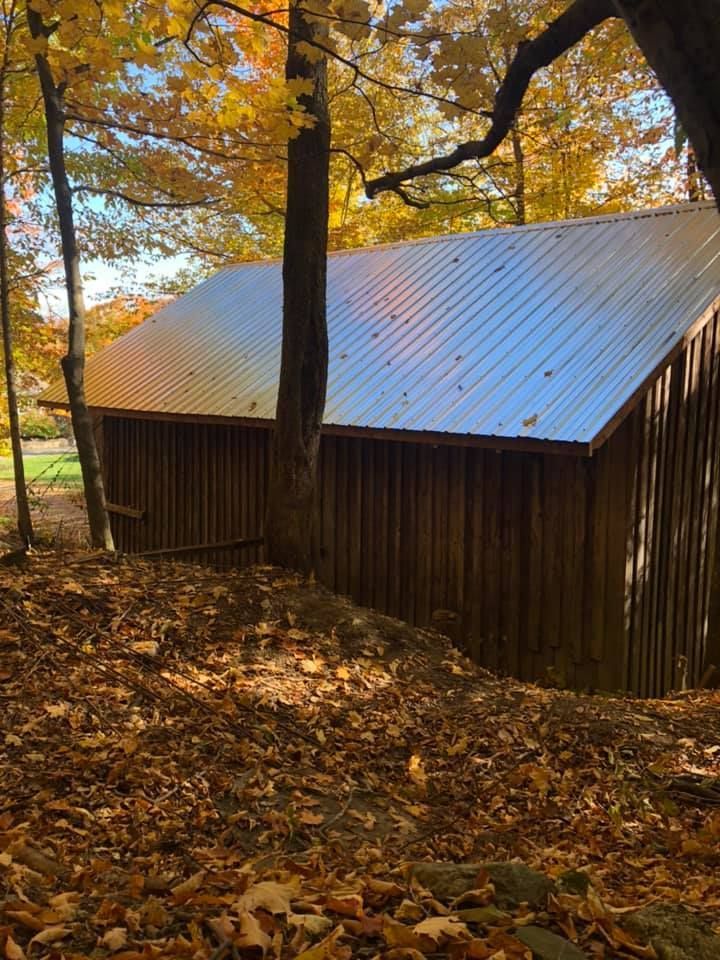 Une grange avec un toit en métal est entourée d'arbres et de feuilles.
