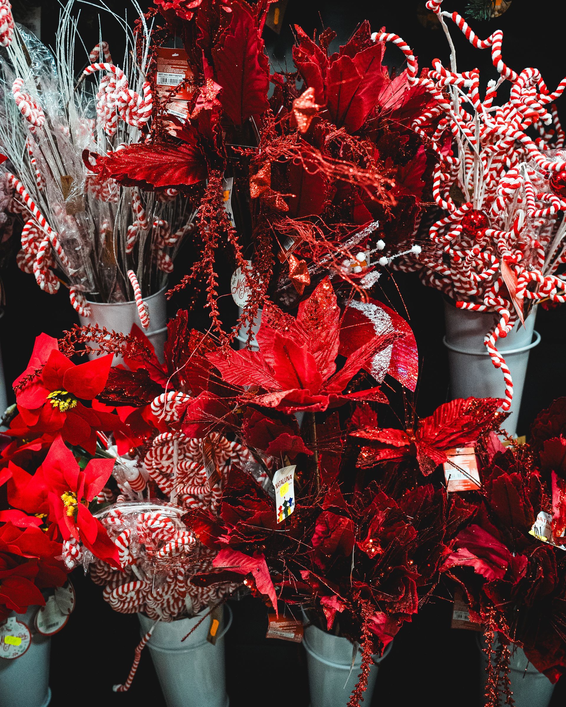 Decorazioni natalizie, stelle di Natale rosse e decorazioni a forma di bastoncini di zucchero in vasi bianchi.