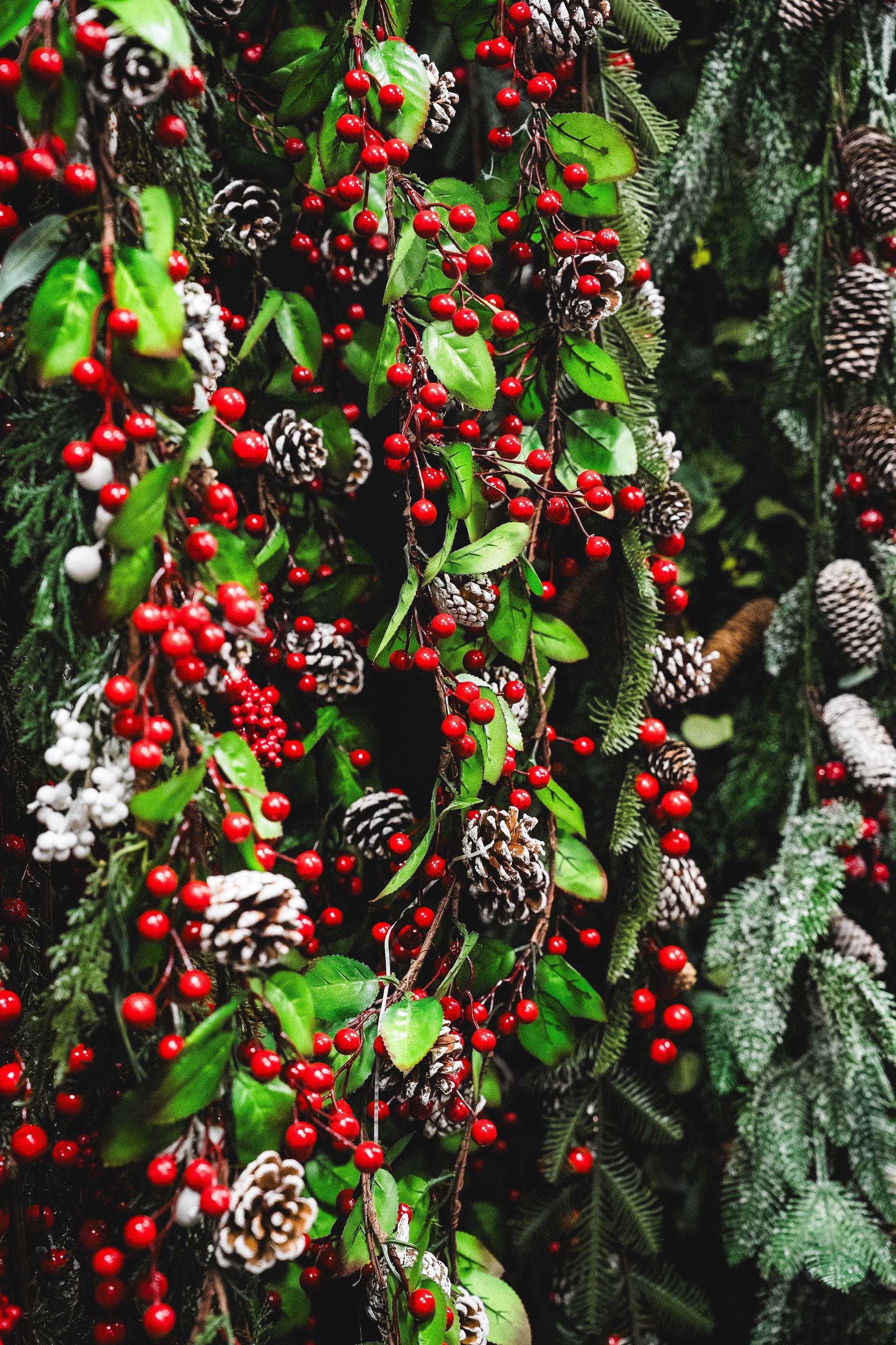 Ghirlanda natalizia con bacche rosse, pigne e fogliame verde.