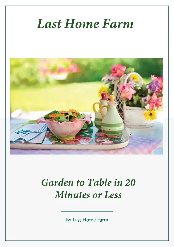 Book cover with tea, flowers, and salad; title: Last Home Farm, Garden to Table in 20 Minutes or Less