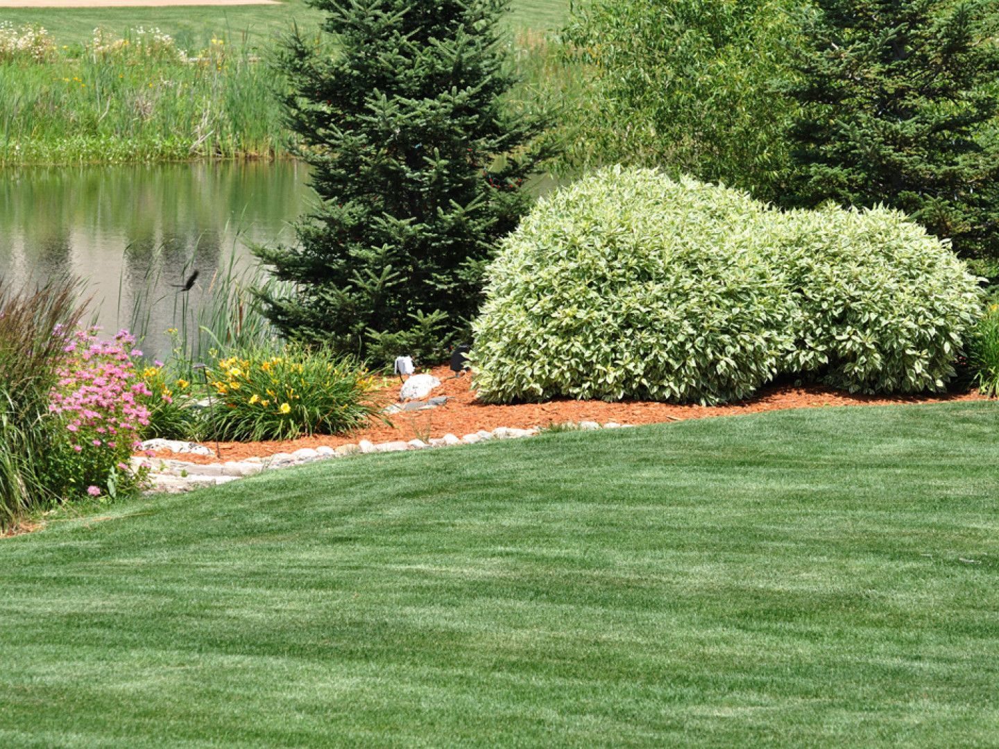 Lush green lawn and landscaping by a pond, featuring trees, bushes, and colorful flowers.