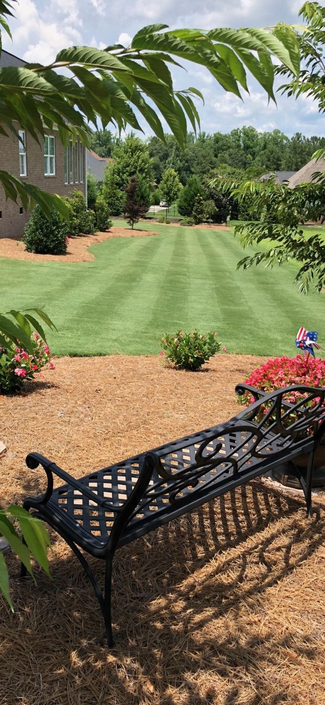A metal bench in a yard with a freshly mowed lawn. Trees, bushes, and a brick house are in the background.