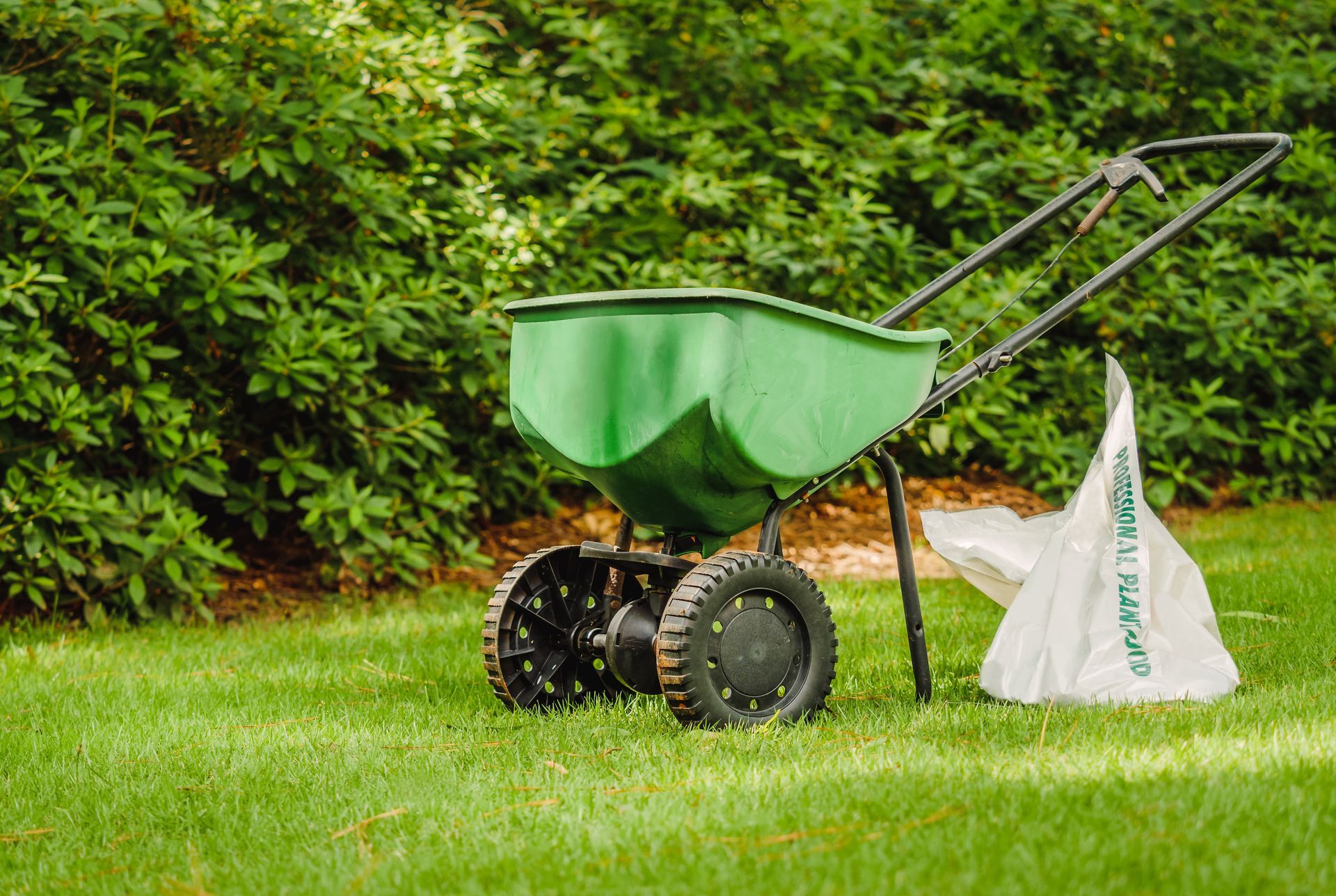 Green lawn spreader next to a bag of lawn care product on grass, against a backdrop of green bushes.