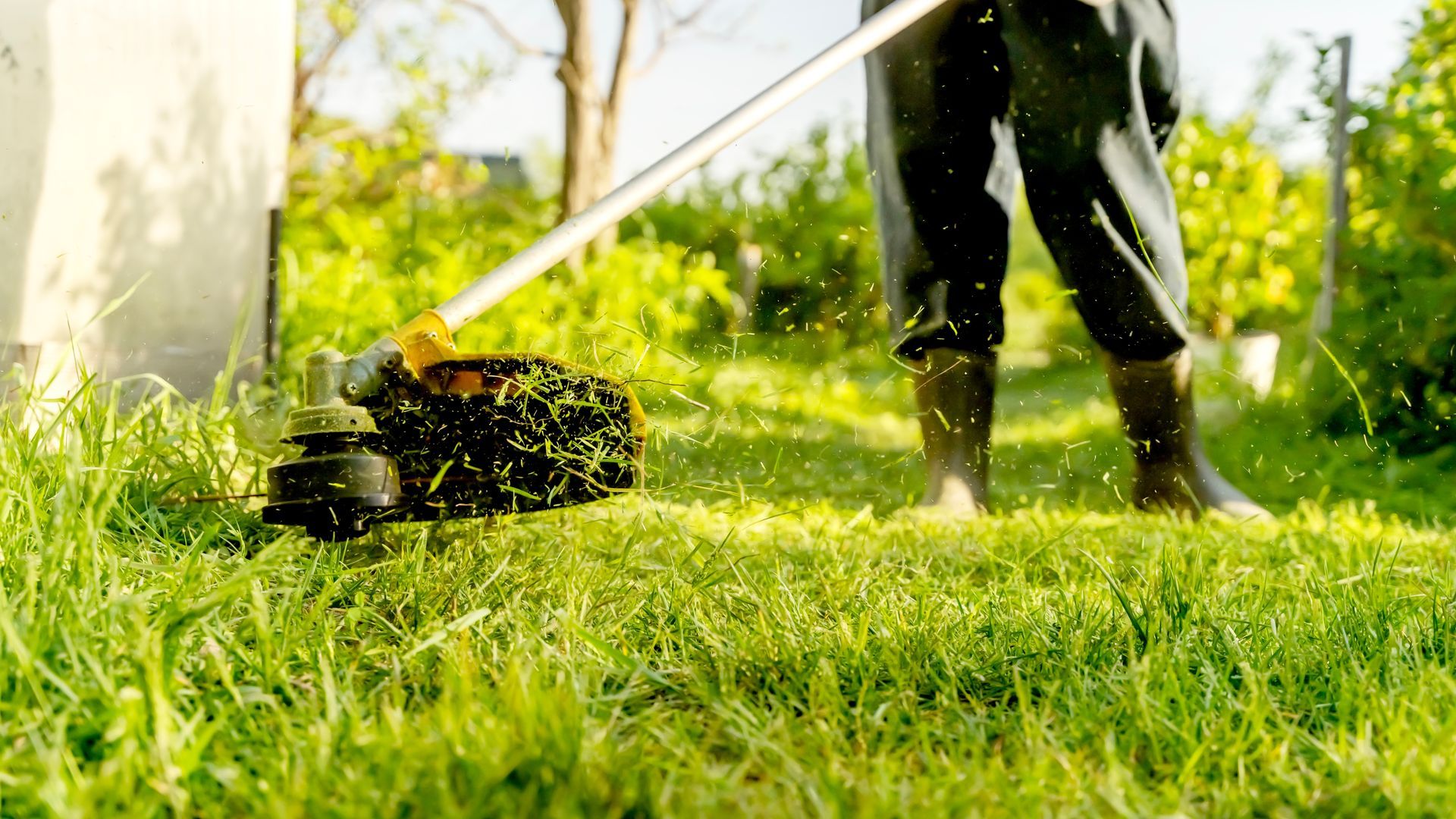 Person using a string trimmer to cut grass in a sunny backyard.