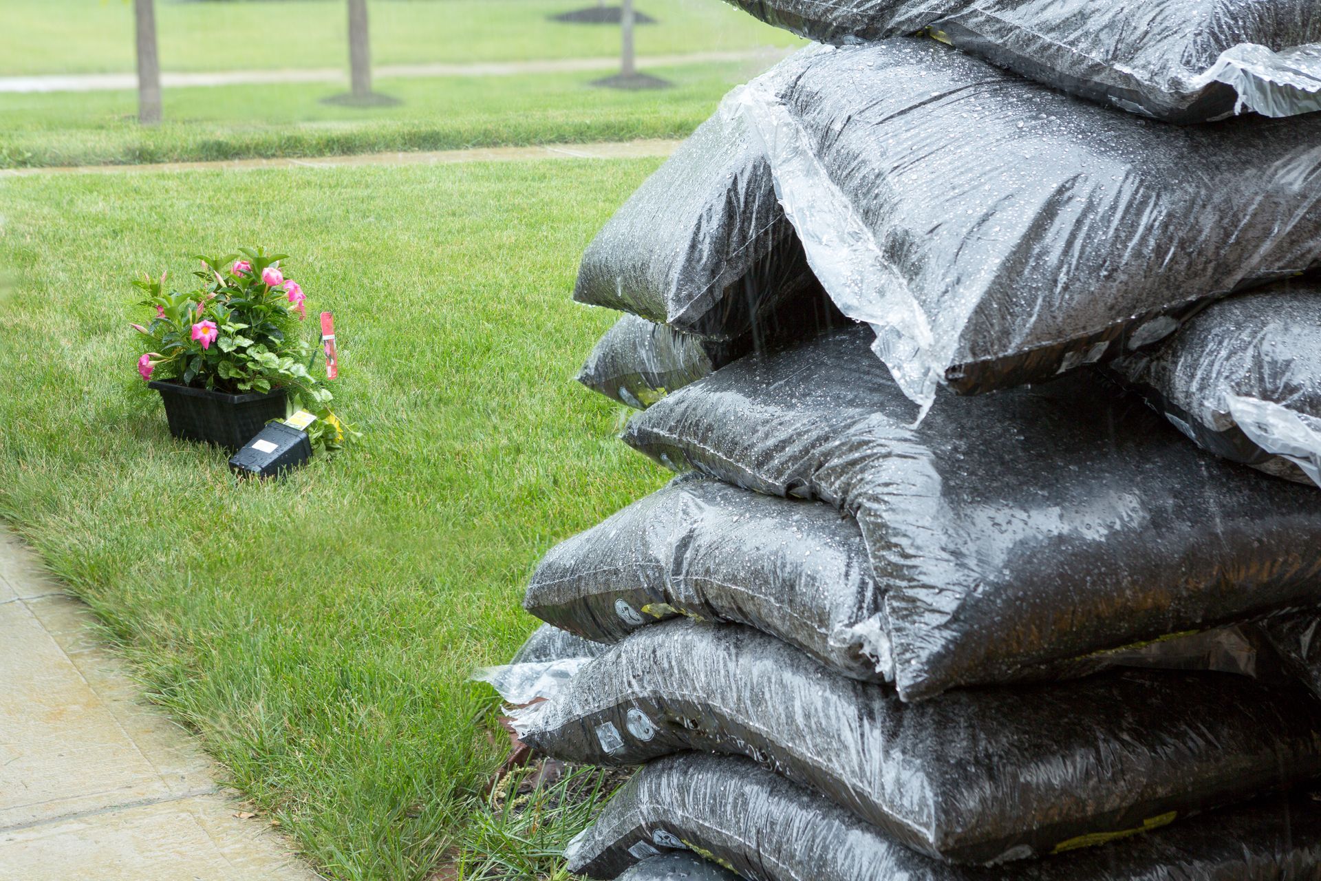 Pile of dark soil bags next to a grassy lawn and potted flowers in a yard setting.