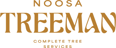 Noosa Tree Man logo