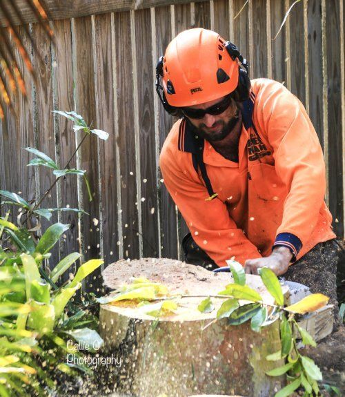 Expert using a power tool to cut a log