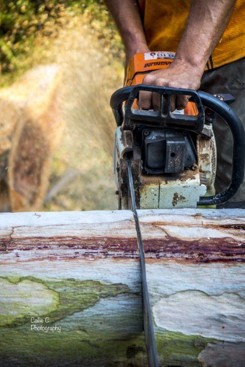 Log being cut with the help of machine
