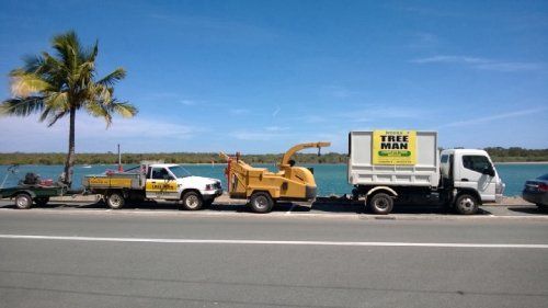 Noose tree man branded vehicle