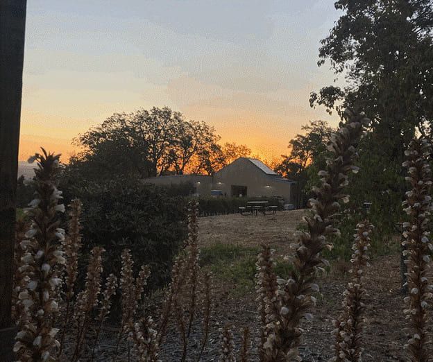 A sunset with a house in the background and flowers in the foreground