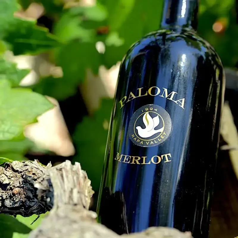 A close up of a bottle of paloma merlot