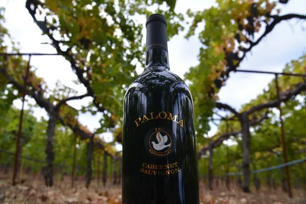 A bottle of paloma cabernet sauvignon wine is sitting in a vineyard.