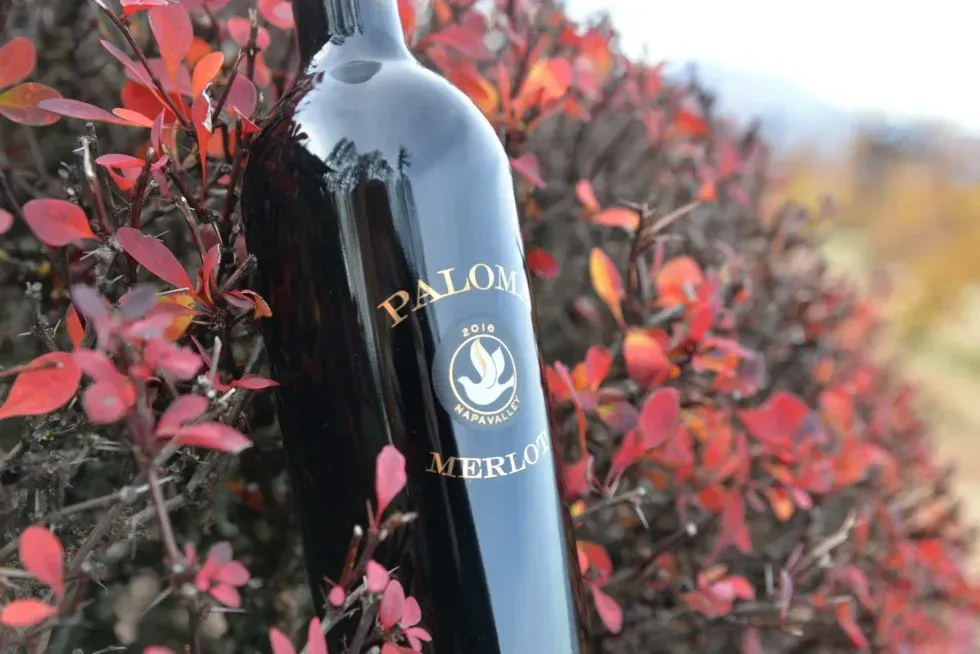 A bottle of palom merlot is sitting in front of a bush with red leaves.
