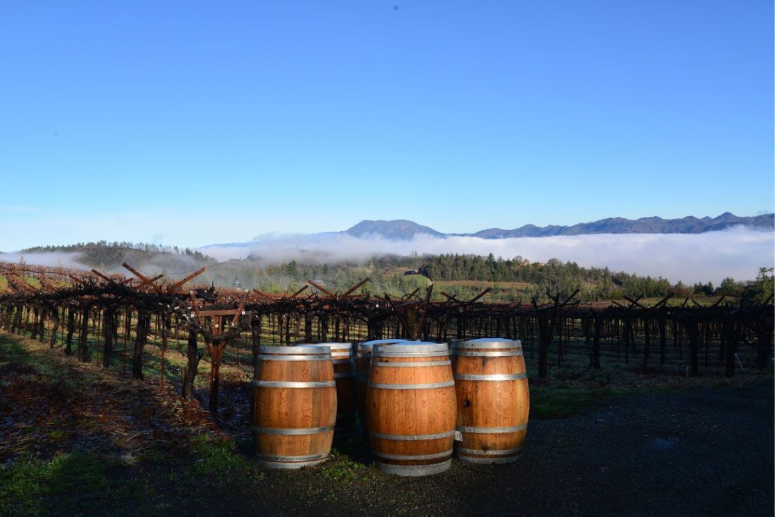 Paloma Vineyards, wine barrels in a vineyard