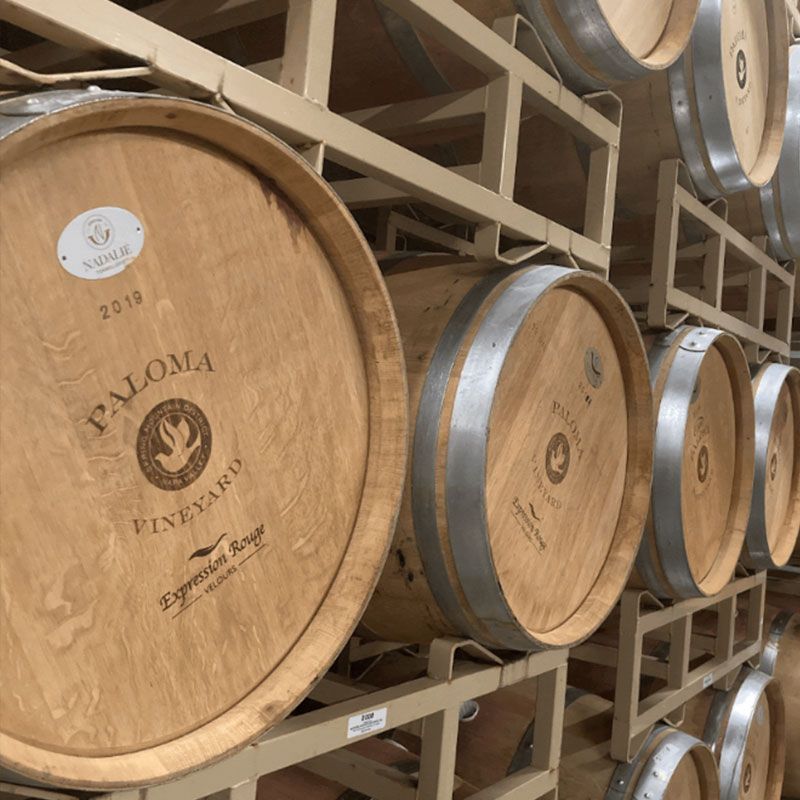 Wine Barrels at Paloma Winery