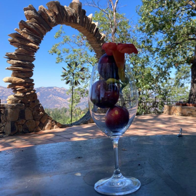 famous view at Paloma Winery