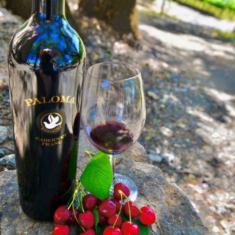 gorgeous bottle of Paloma Wine