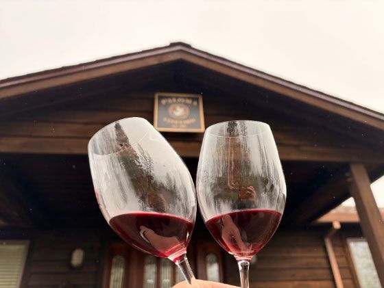 wine glasses in front of Paloma Vineyards sign