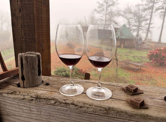 two wine glasses looking over Paloma Vineyard