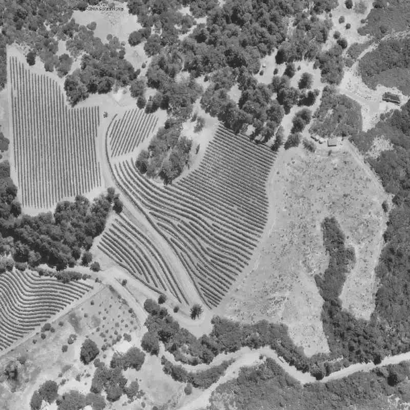 A black and white photo of a landscape with trees and fields
