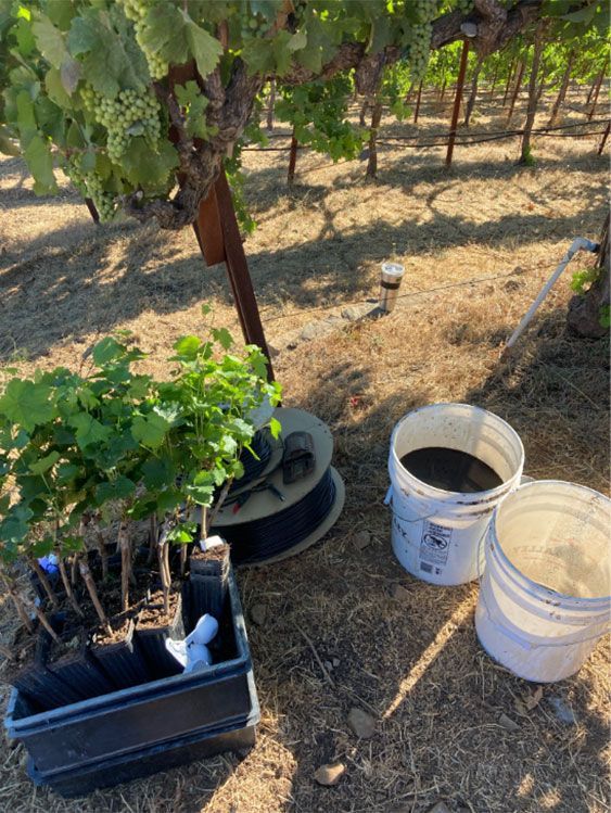 equipment in the vineyard