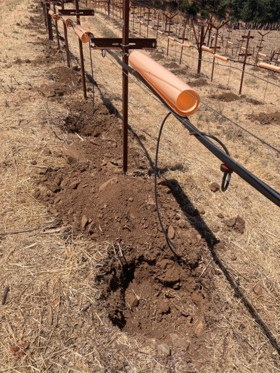 more equipment in the vineyard