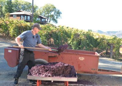 A man is pushing a cart full of grapes with a shovel.