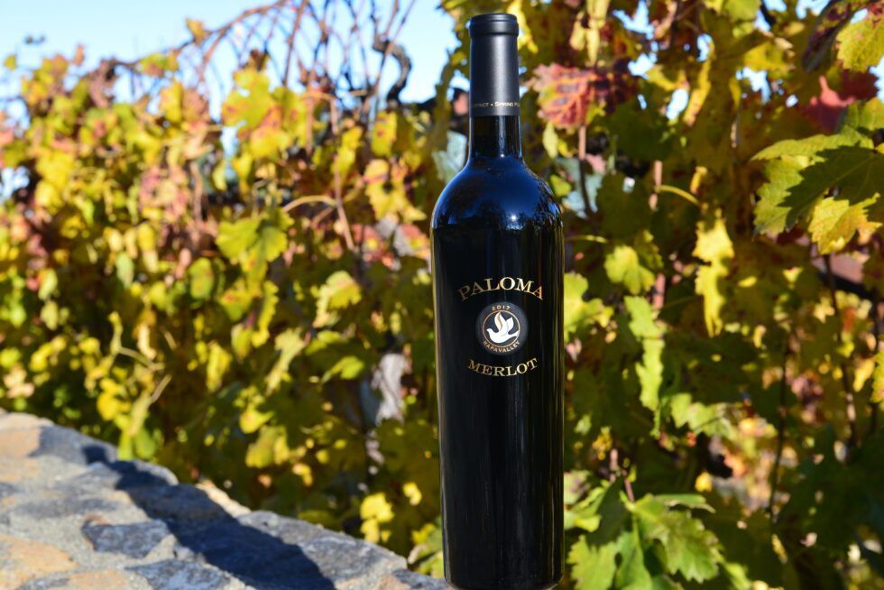 A bottle of paloma wine is sitting on a stone wall in front of a vineyard.