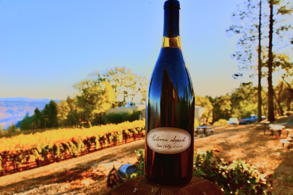 A bottle of wine is sitting in front of a vineyard.