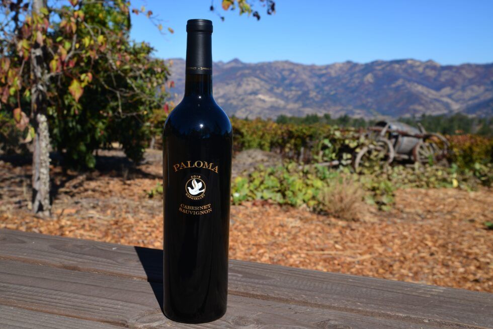 A bottle of wine is sitting on a wooden table with mountains in the background.