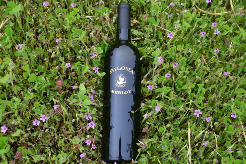 A bottle of palomino merlot is sitting in the grass