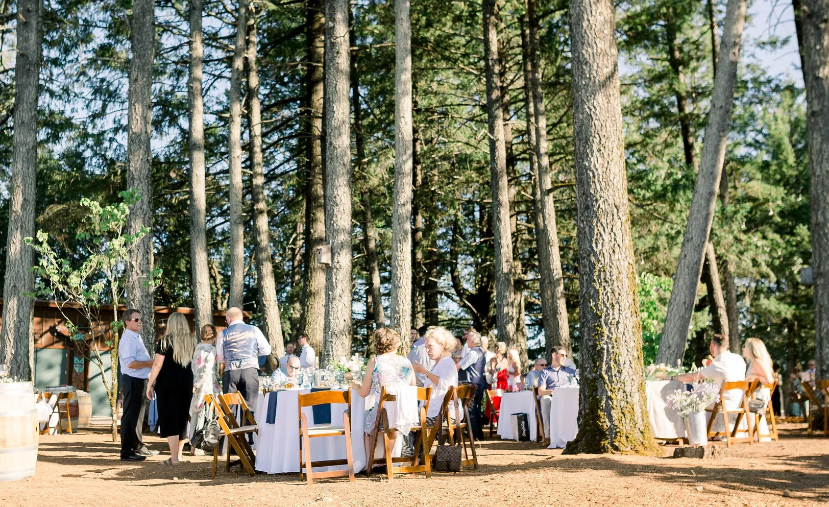 A group of people are sitting at tables in the woods.