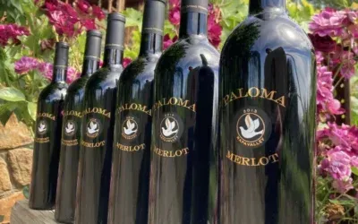A row of bottles of paloma merlot are lined up in front of purple flowers.
