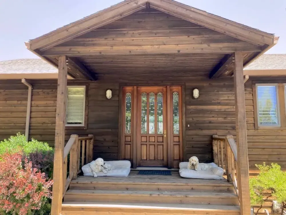 Two dogs are sitting on the porch of a wooden house.
