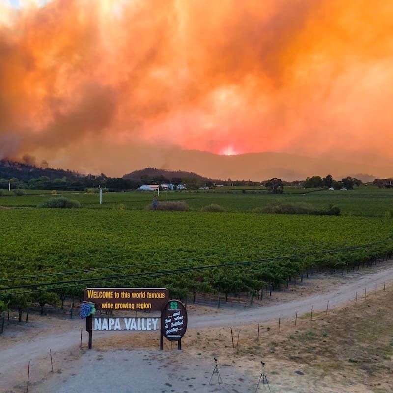A sign in front of a vineyard with a fire in the background.