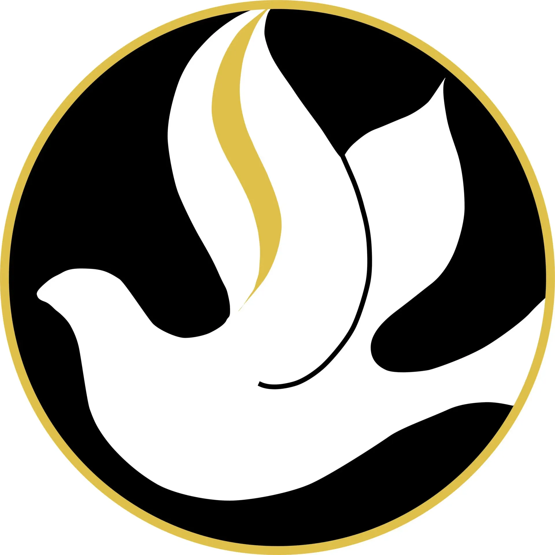 A white dove is flying in a circle on a black background.