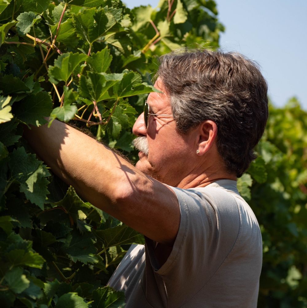 A man with a mustache is pouring wine into a glass.