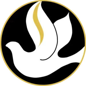 A white dove is flying in a circle on a black background.