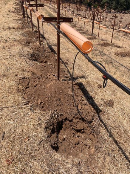 soil in the vineyard at Paloma winery