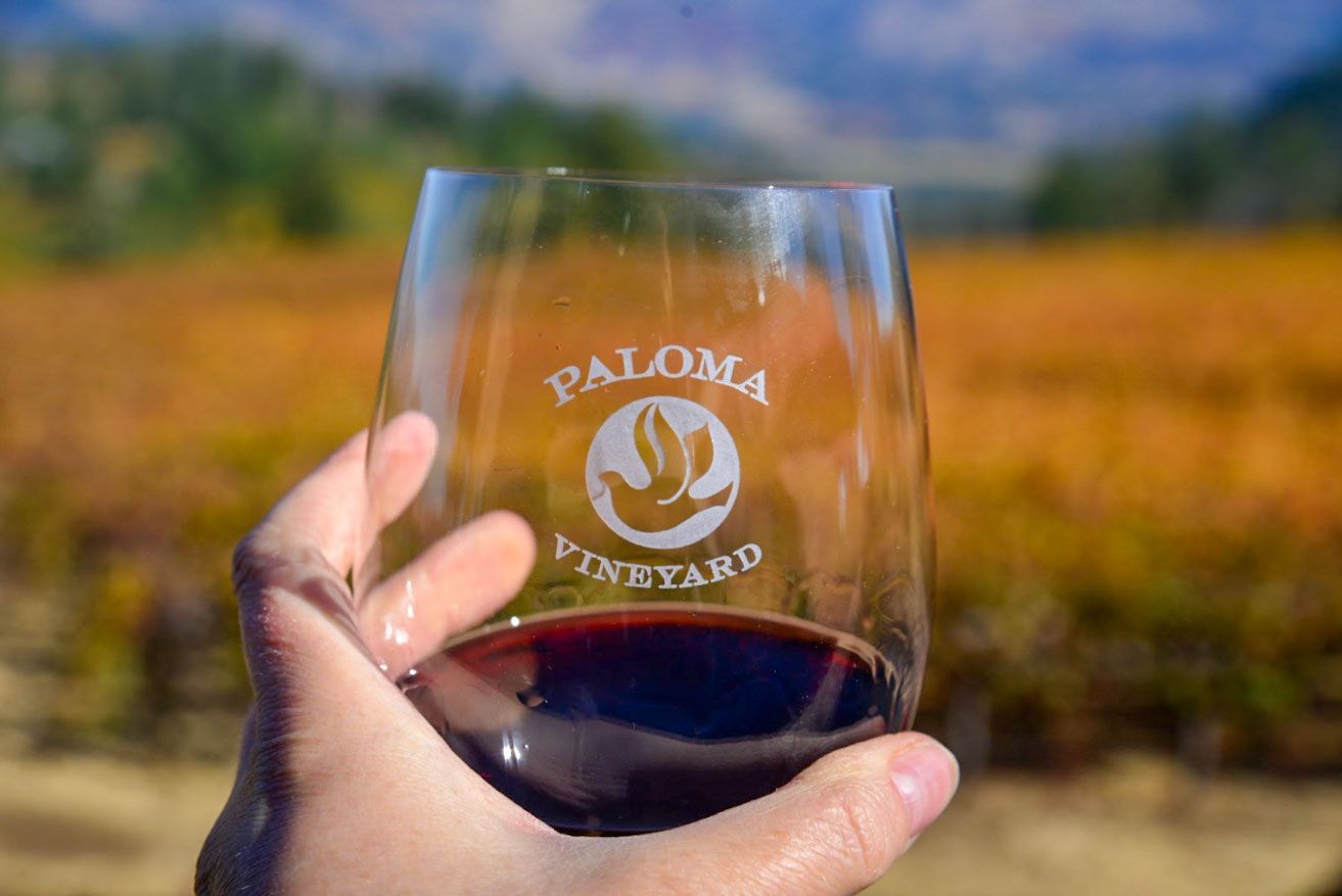 glass of wine at Paloma