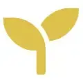 A yellow leaf icon on a white background.