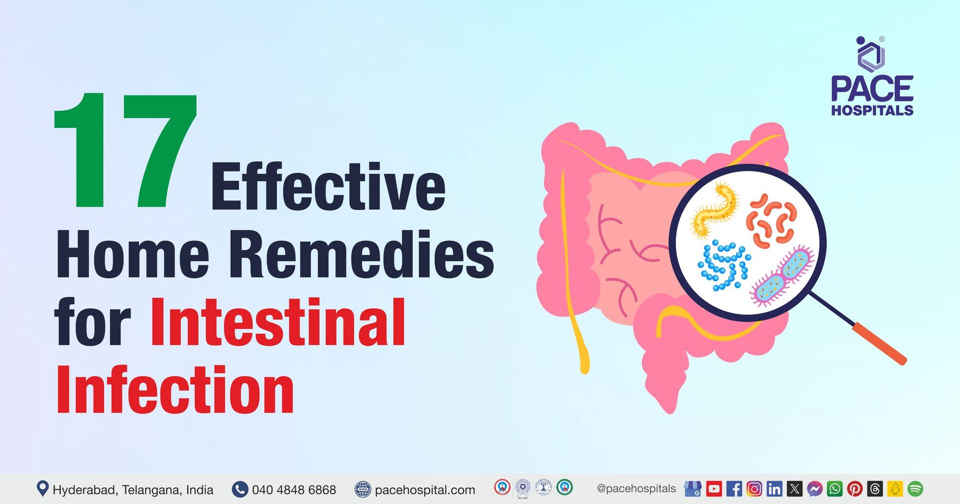 Guide to best 17 natural home remedies for intestinal infection​ to relieve symptoms, heal naturally