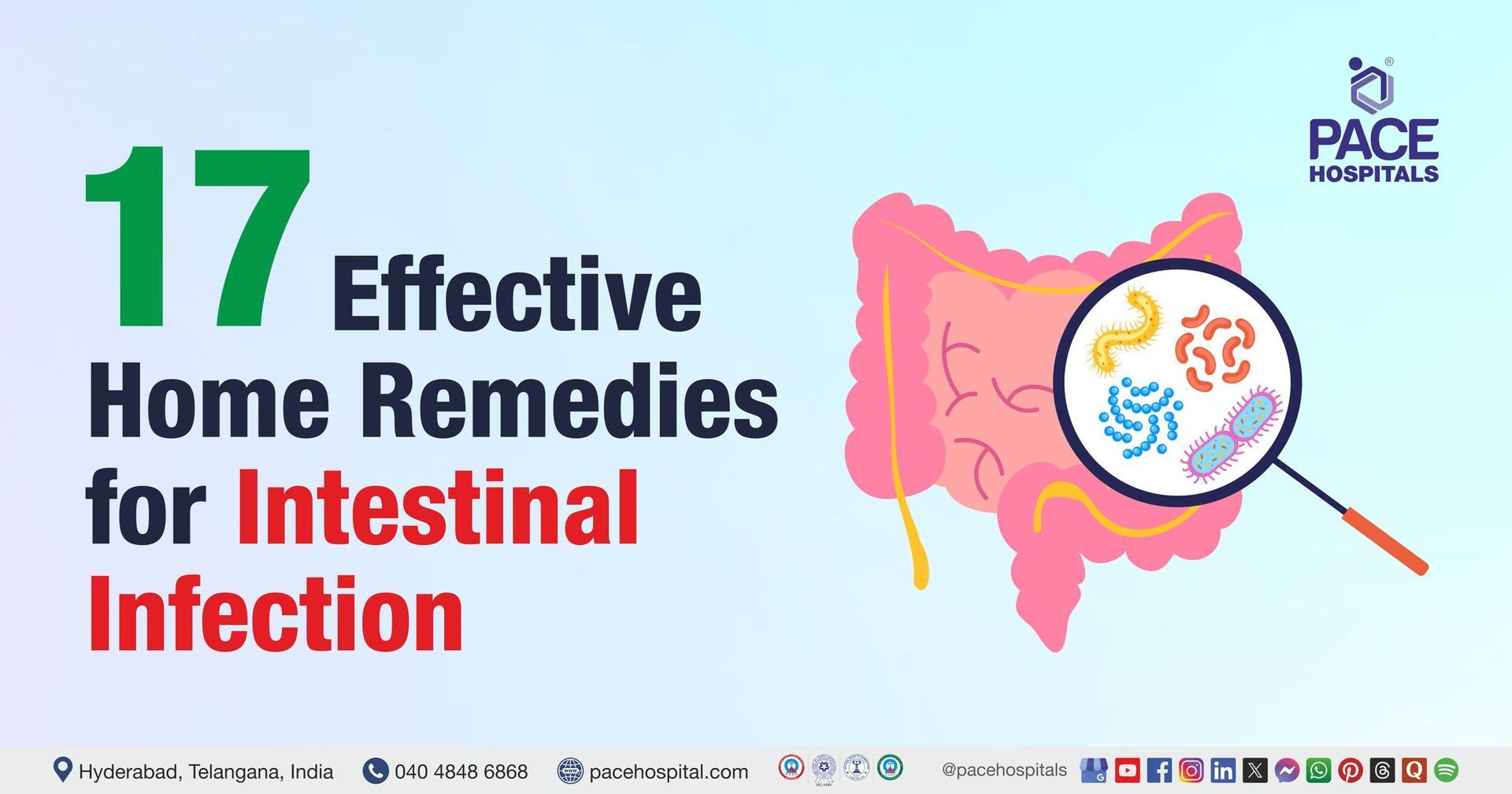 Guide to best 17 natural home remedies for intestinal infection​ to relieve symptoms, heal naturally