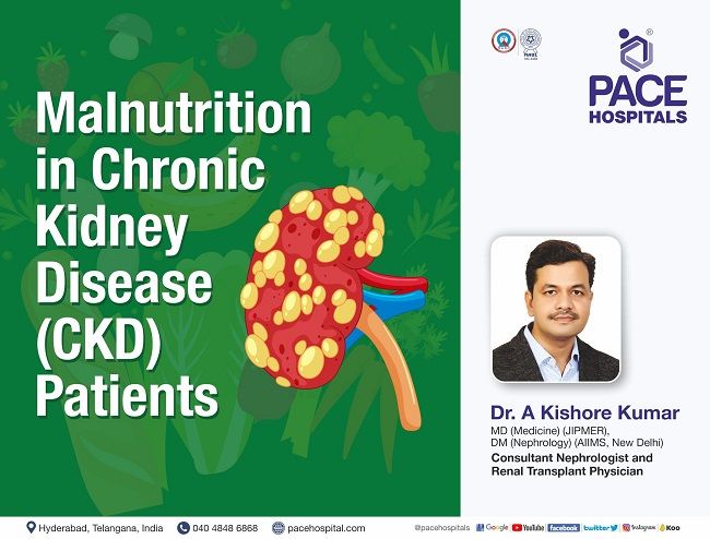 Malnutrition in Chronic Kidney Disease - Protein Energy Wasting | Pace Hospitals