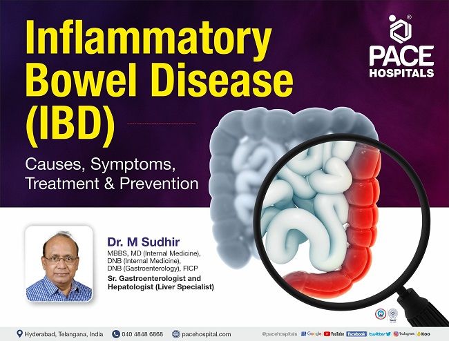 Inflammatory Bowel Disease (IBD) - Causes, Symptoms, Treatment and Prevention