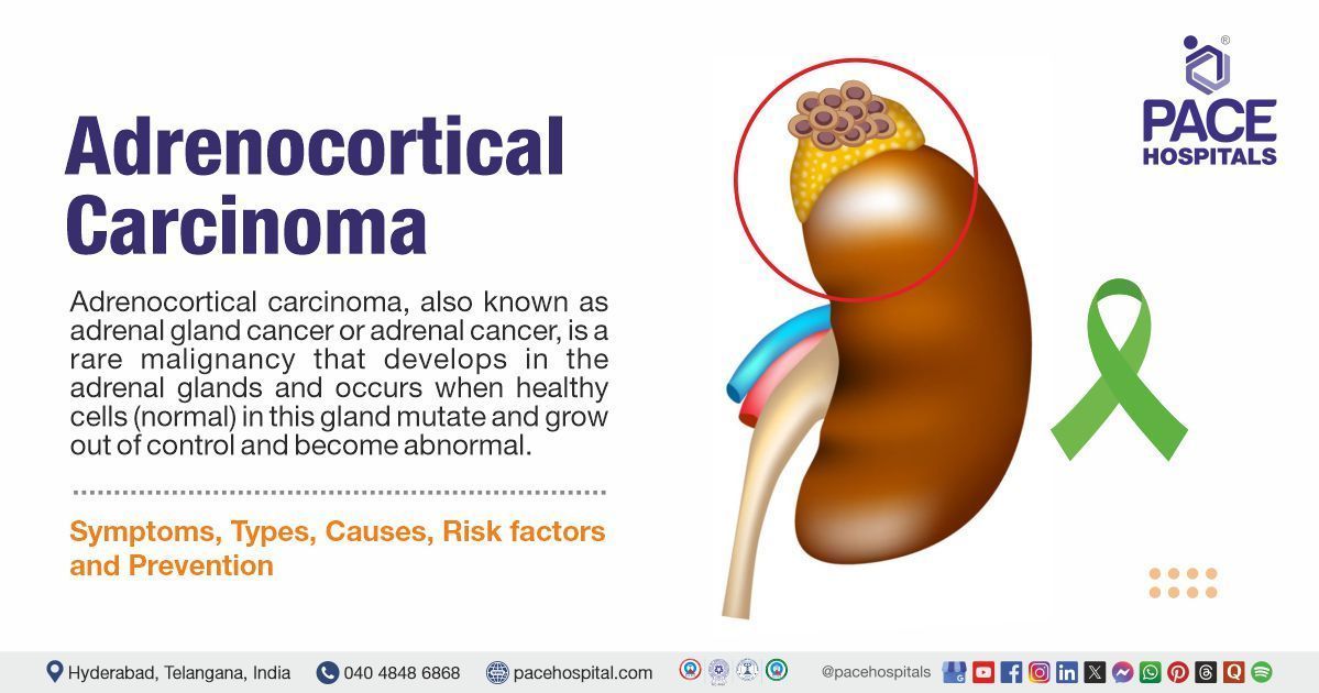 Adrenocortical carcinoma symptoms and causes | adrenal gland cancer treatment in India