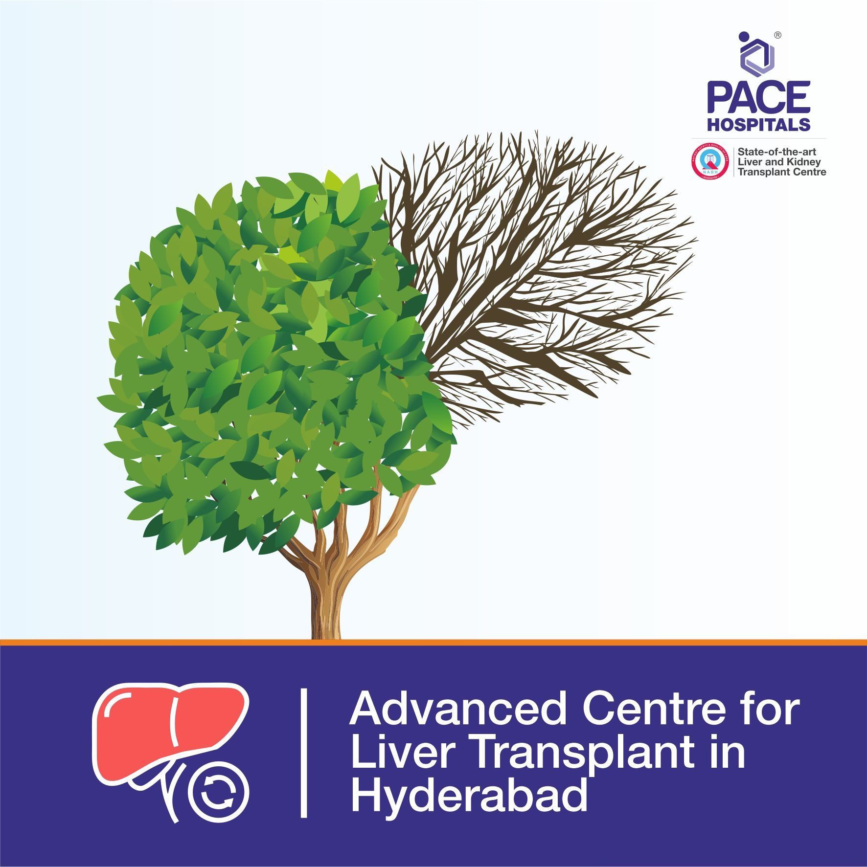 liver transplant cost in India | Best liver transplant hospital in Hyderabad