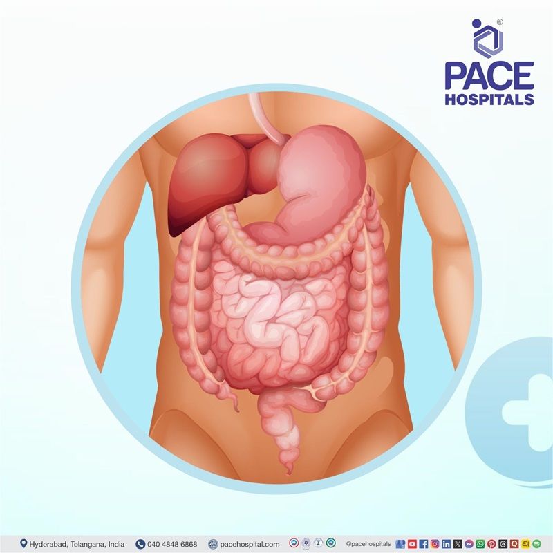 Medical gastroenterology care for digestive, liver, and pancreatic disorders at PACE Hospitals, Hyderabad