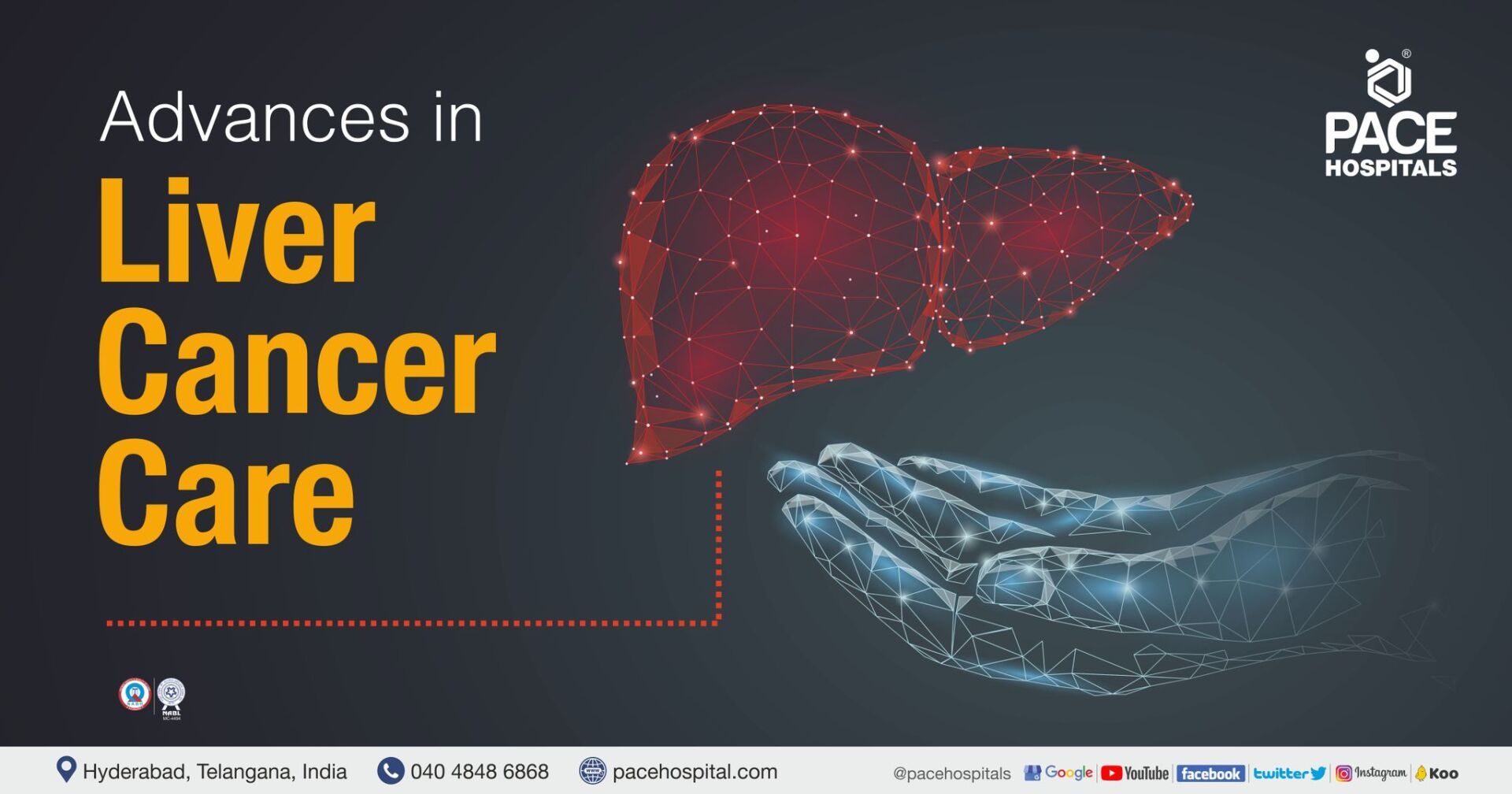 Advances in Liver Cancer Care - Chemotherapy, Liver Tumor Ablation and Liver Transplant